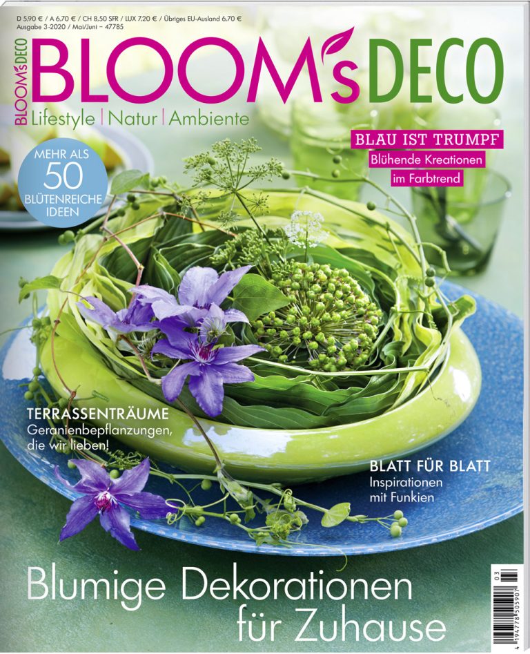 Bloom S Deco November Dezember