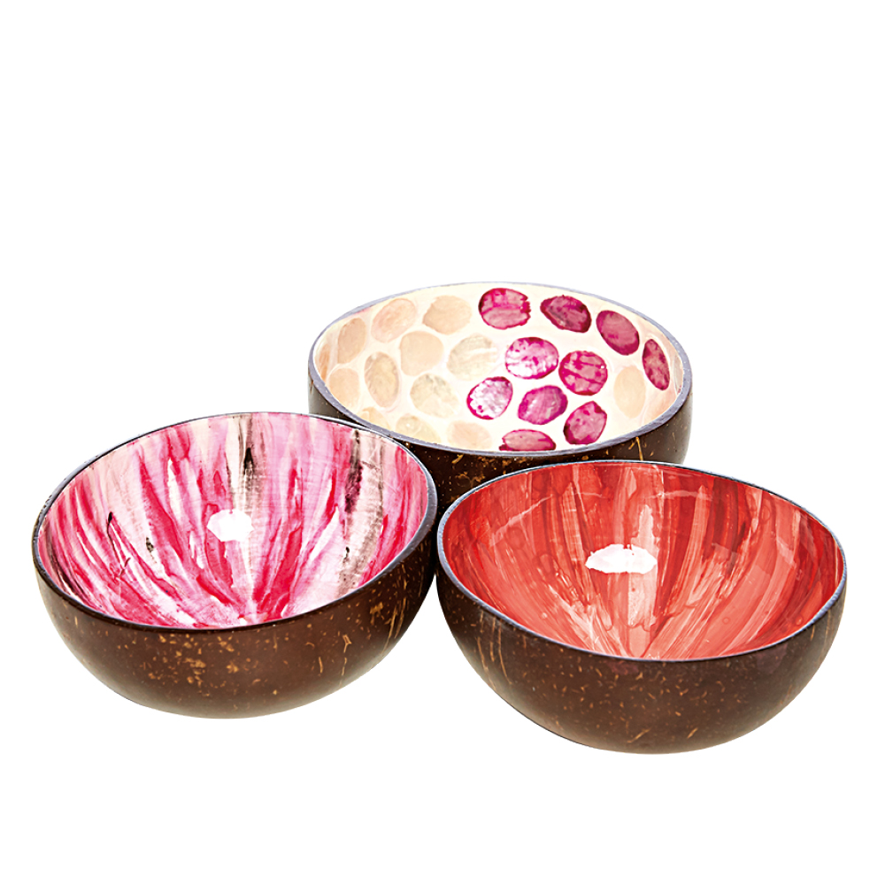 Kaufen Sie Kokosnuss Schale + Schalen Halter, Design Pink zu  Großhandelspreisen