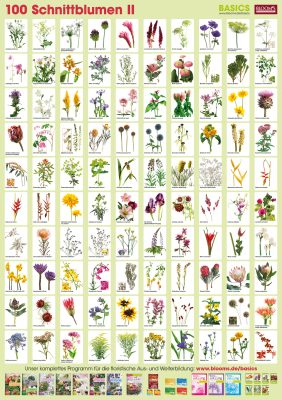 Schnittblumen Liste Mit Bildern