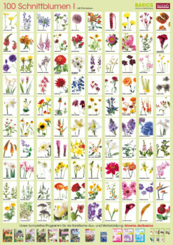Plant-Poster Cut Flowers I