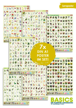 BASICS Pflanzenposter-Set (alle 7 Stück)
