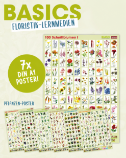 BASICS Pflanzenposter-Set alle 7