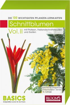 Schnittblumen Vol II