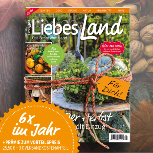 Liebes Land gift subscription