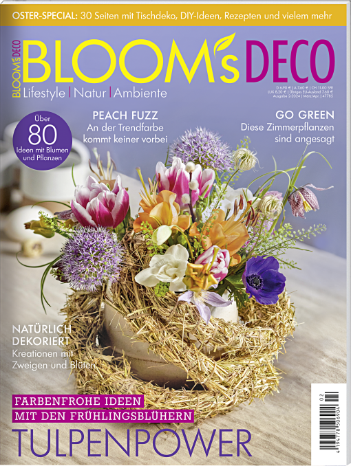 Blooms Deco März-April 2024