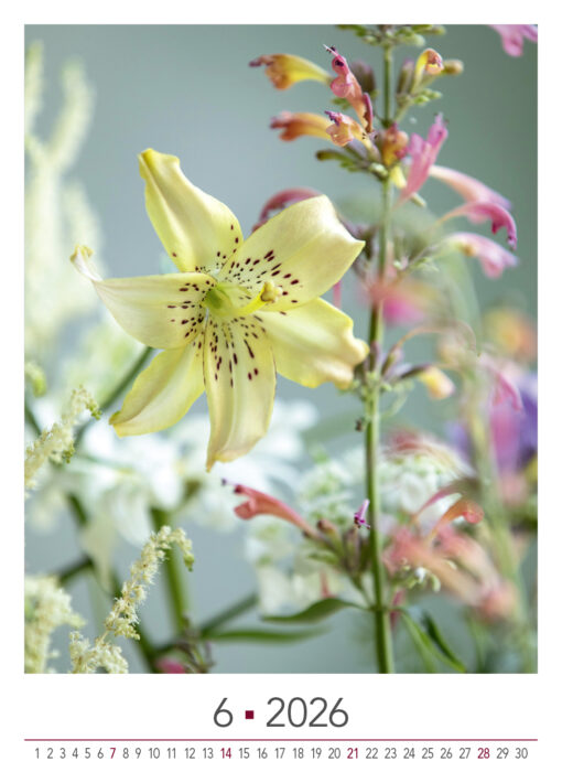 BLOOM's wall calendar Blooming Moments 2026 - Image 8