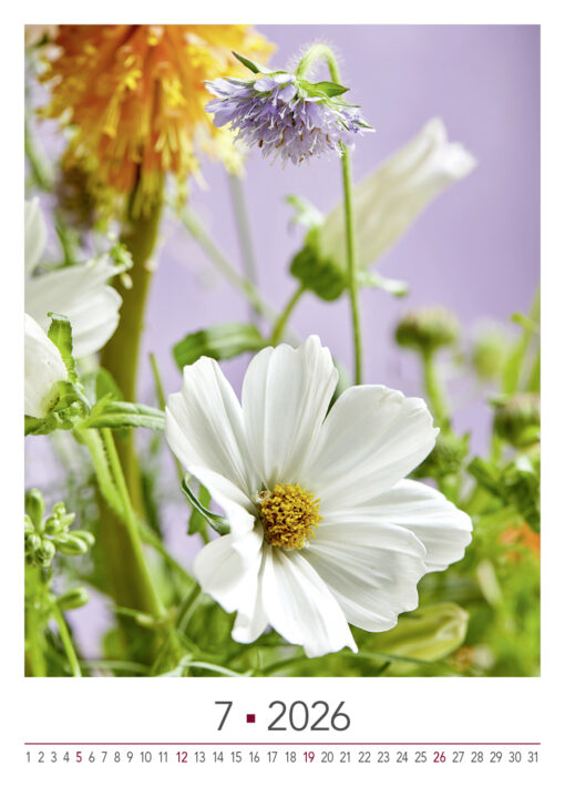 BLOOM's wall calendar Blooming Moments 2026 - Image 9