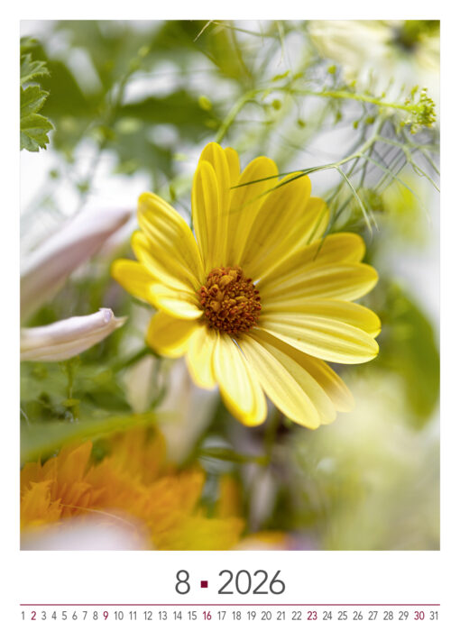BLOOM's wall calendar Blooming Moments 2026 - Image 10