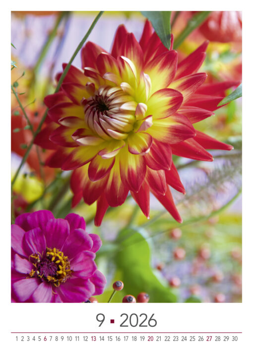 BLOOM's wall calendar Blooming Moments 2026 - Image 11