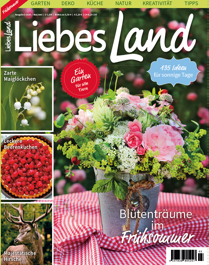 Liebes Land Mai/Juni 2026