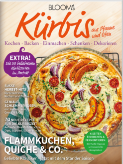 Kürbis aus Pfanne und Ofen