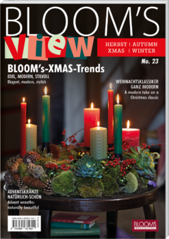 BLOOM's VIEW 2/2026