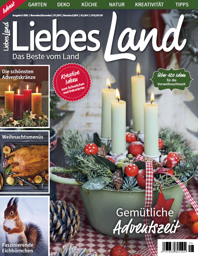 Liebes Land Novemeber/Dezember 2026