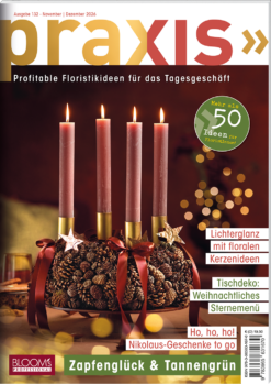 PRAXIS November/Dezember 2026