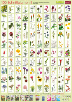 Plant-Poster Cut Flowers II