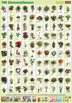 Plant-Poster Indoor Plants