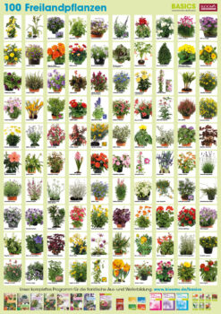 Plant-Poster Outdoor Plants