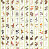 Plant-Poster Dried Flowers