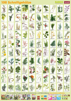 Plant-Poster Cut wood