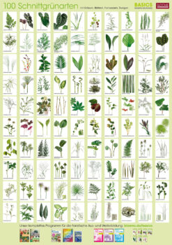 Plant-Poster Cut greenery